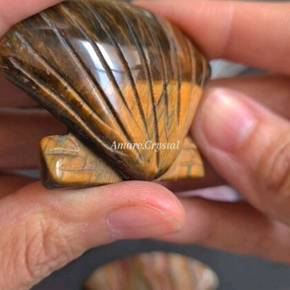 Ukiran Kerang Sea SHELL Crystal