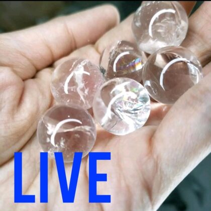 LIVE Order