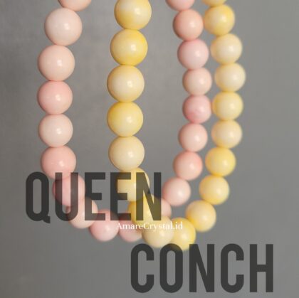 Queen Conch Gelang