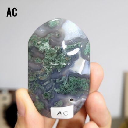 Moss Agate Palm Stone